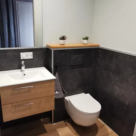 Maison Avec Jardin Proche Europa-park Rulantica Strasbourg Colmar Holiday home