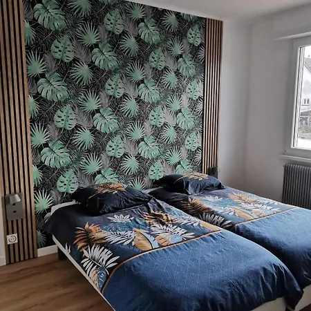Maison Avec Grand Jardin Proche Europa Park Rulantica Strasbourg Colmar *