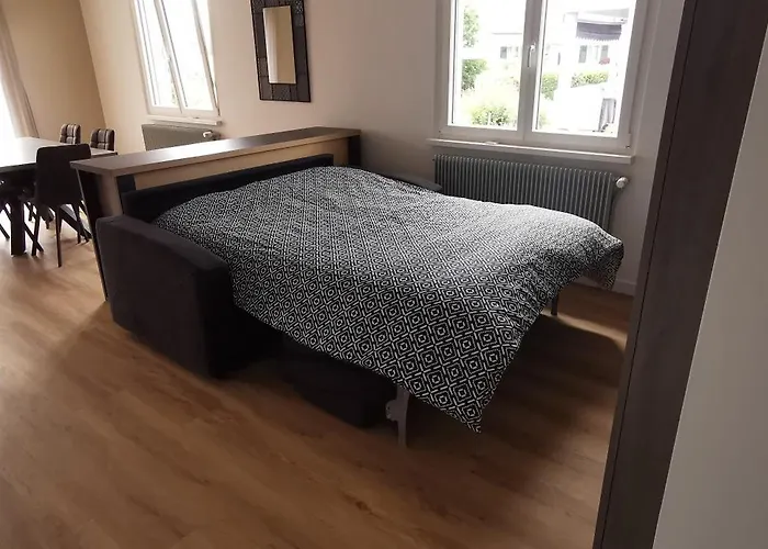 Vakantiehuis Maison Avec Jardin Proche Europa-park Rulantica Strasbourg Colmar *