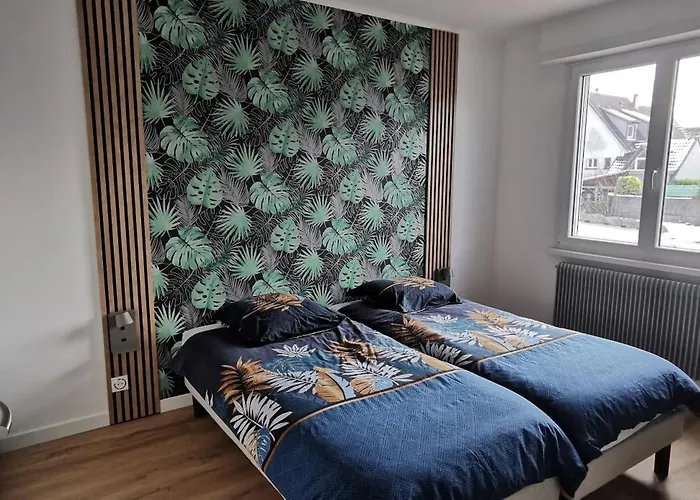 Maison Avec Jardin Proche Europa-park Rulantica Strasbourg Colmar *