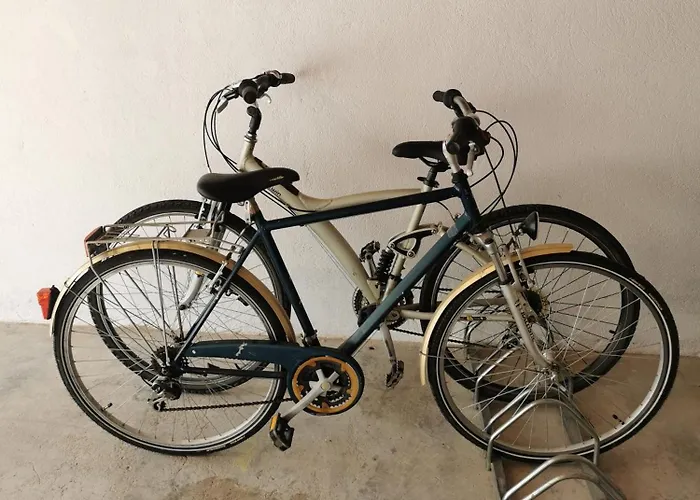 Maison Avec Jardin Proche Europa-park Rulantica Strasbourg Colmar Vakantiehuis Rhinau