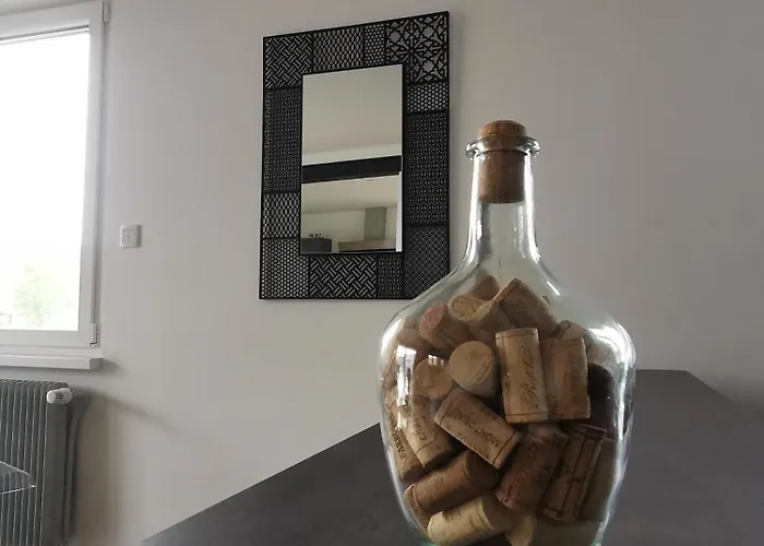 Maison Avec Jardin Proche Europa-park Rulantica Strasbourg Colmar *